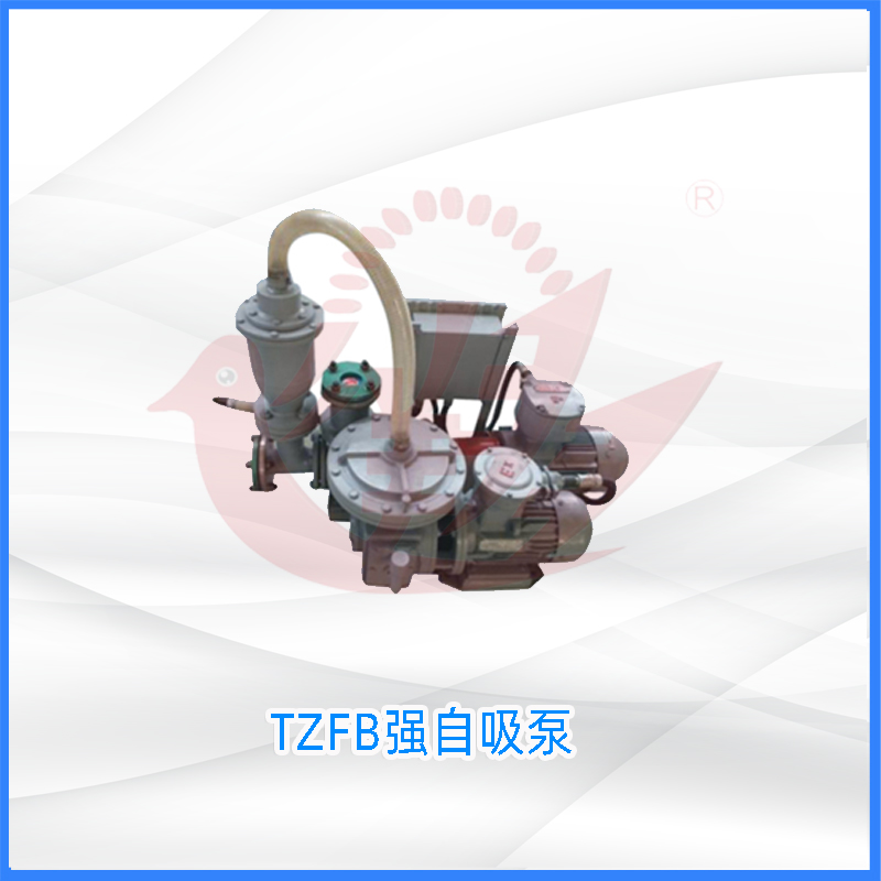 TZFB强自吸泵